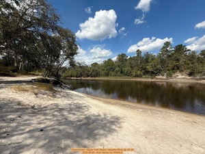 [Downstream, Naylor Park Beach, Alapaha River @ US 84 2025-09-25 --Kim Tanner for WWALS]