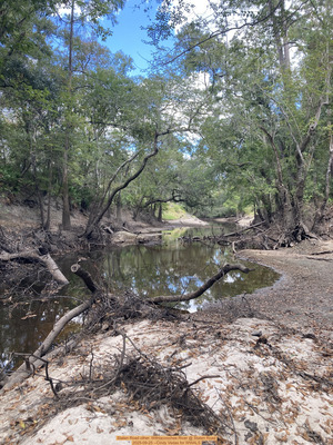 [Staten Road other, Withlacoochee River @ Staten Road 2025-09-25 --Cindy Vedas for WWALS]