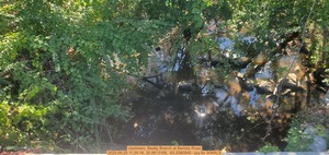 [Upstream, Beatty Branch at Bemiss Road, 2025:09:25 11:24:16, 30.9813168, -83.2080949 --jsq for WWALS]