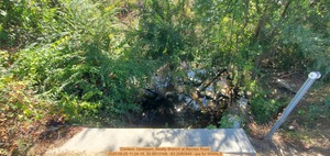 [Context, Upstream, Beatty Branch at Bemiss Road, 2025:09:25 11:24:18, 30.9813168, -83.2080949 --jsq for WWALS]