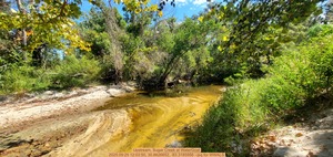 [Upstream, Sugar Creek at WaterGoat, 2025:09:25 12:03:50, 30.8626652, -83.3185956 --jsq for WWALS]