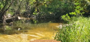 [Two Mile Branch Confluence with Sugar Creek, 2025:09:25 12:03:53, 30.8626652, -83.3185956 --jsq for WWALS]