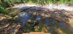 [Movie: Sugar Creek at WaterGoat, 2025:09:25 12:04:06, 30.8626652, -83.3185956 (35M) --jsq for WWALS]