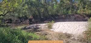 [Movie: Birds fly from sand dune at Langdale Park Boat Ramp 123342, 2025:09:25 12:33:42, 30.8878316, -83.3238383 (44M) --jsq for WWALS]