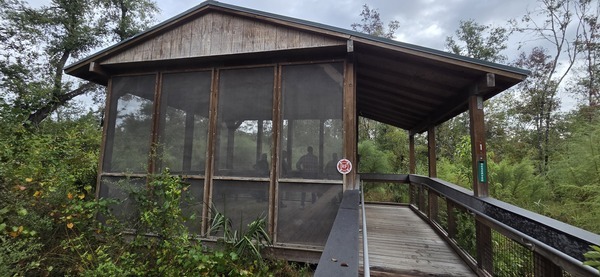 [Platform 1, Dowling Park River Camp, 2025:09:27 10:03:40, 30.2468866, -83.2462028]