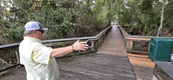 [Bill wants boardwalks like this at Troupville, 2025:09:27 11:28:06, 30.0352487, -83.0189883]