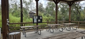 [Dining Pavilion and sleeping platforms, 2025:09:27 10:34:50, 30.2468143, -83.2458567]