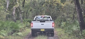 [Canopy road into Adams Tract, 2025:09:27 11:17:25, 30.0352941, -83.0329088]