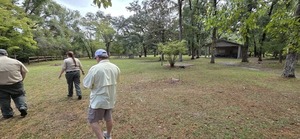 [Open area, Adams Tract River Camp, 2025:09:27 11:25:30, 30.0347204, -83.0194111]
