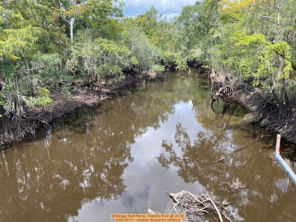 [Sheboggy Boat Ramp, Alapaha River @ US 82 2025-09-27 --Heather Brasell for WWALS]
