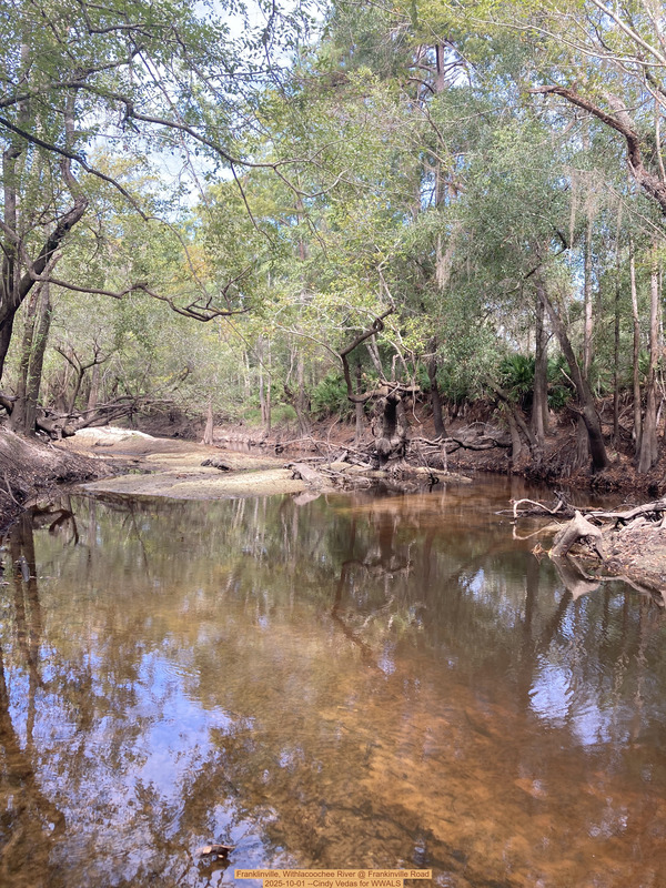 [Franklinville, Withlacoochee River @ Frankinville Road 2025-10-01 --Cindy Vedas for WWALS]