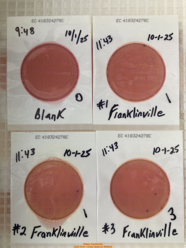 Plates, Franklinville 2025-10-01 --Cindy Vedas for WWALS