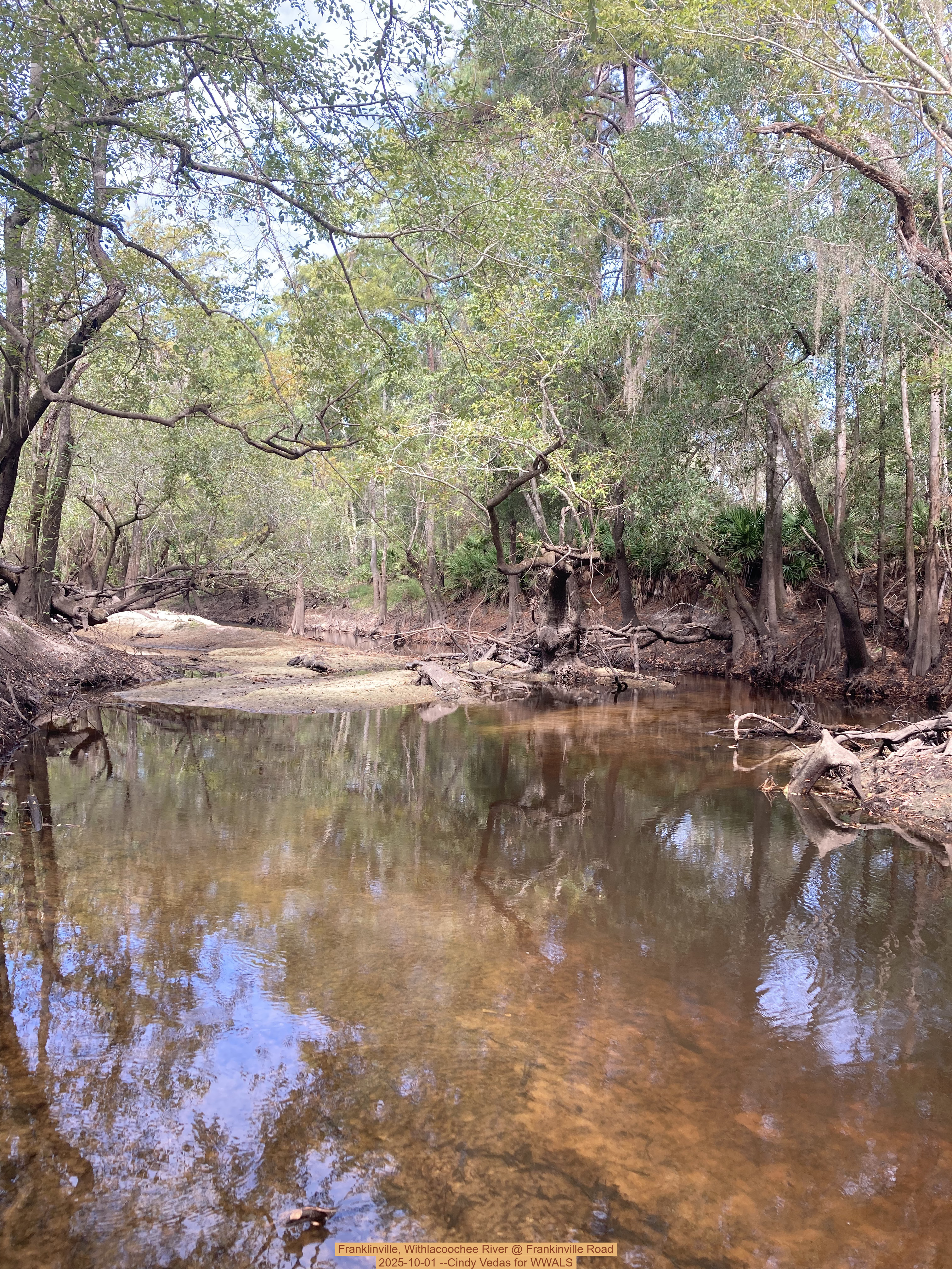 Franklinville, Withlacoochee River @ Frankinville Road 2025-10-01 --Cindy Vedas for WWALS