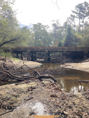 [Franklinville other, Withlacoochee River @ Frankinville Road 2025-10-01 --Cindy Vedas for WWALS]