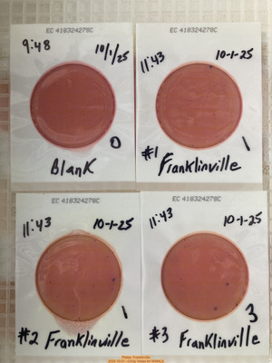 [Plates, Franklinville 2025-10-01 --Cindy Vedas for WWALS]