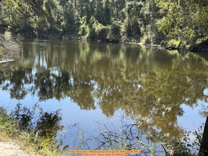 [Holly Point other, Withlacoochee River @ NE Withla Bluffs Way 2025-10-01 --Russ Tatum for WWALS]