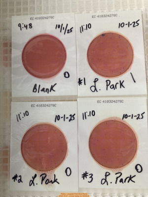 [Plates, Langdale Park Boat Ramp 2025-10-01 --Cindy Vedas for WWALS]