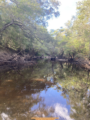 [Staten Road other, Withlacoochee River @ Staten Road 2025-10-02 --Cindy Vedas for WWALS]
