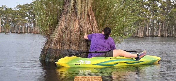 [New paddler at the bat tree, 2025-10-06 --jsq for WWALS]