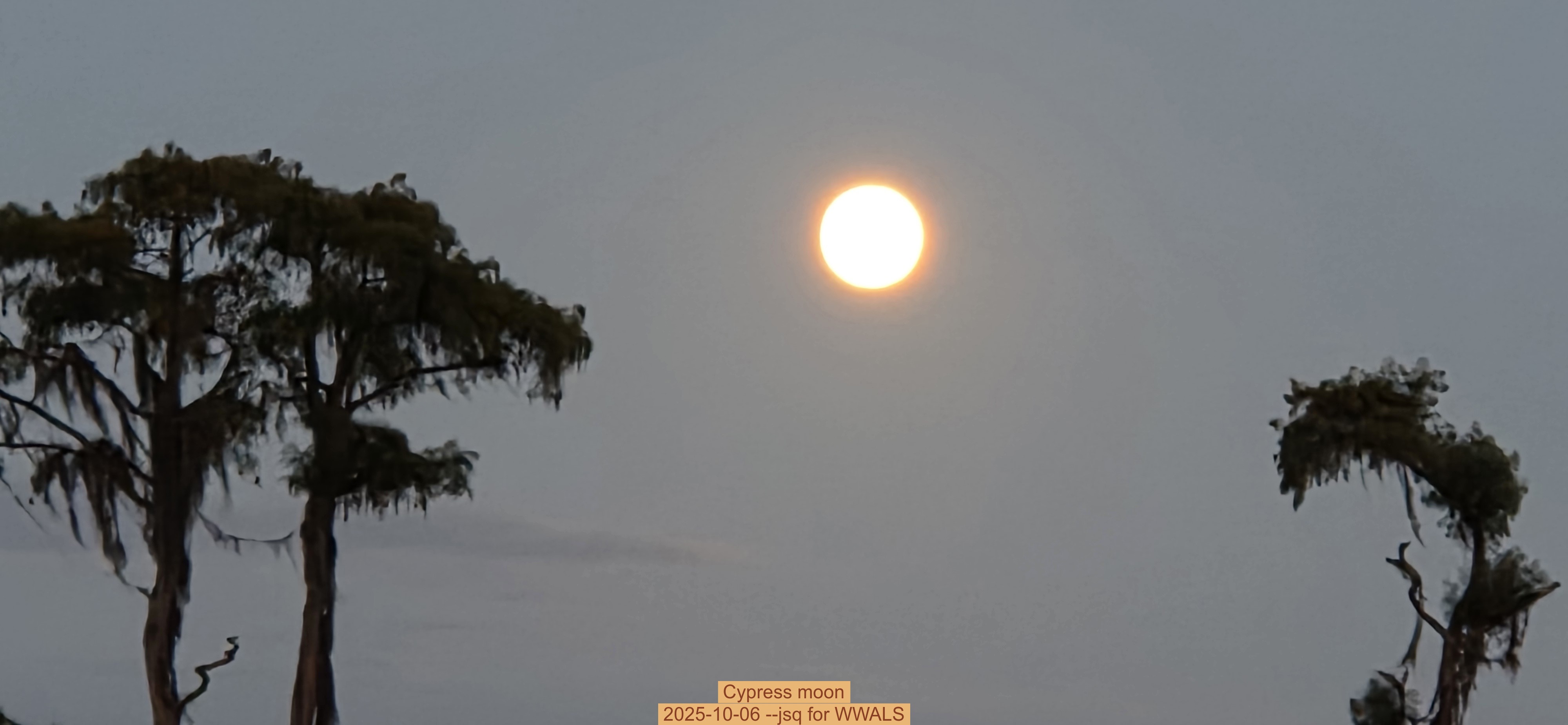 Cypress moon, 2025-10-06 --jsq for WWALS