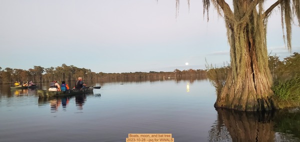 [Boats, moon, and bat tree, 2023-10-28 --jsq for WWALS]