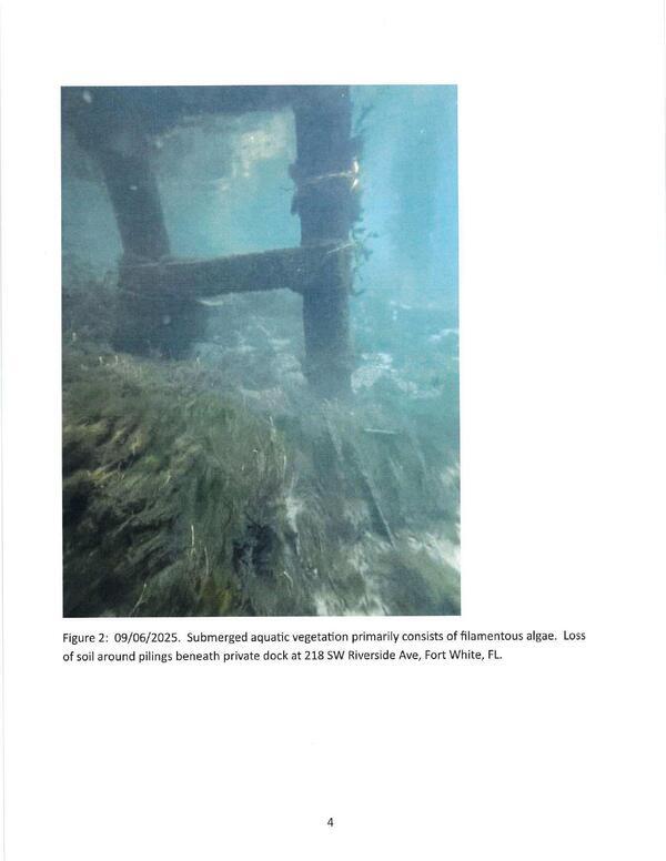 [Figure 2: 09/06/2025. Submerged aquatic vegetation primarily consists of filamentous algae. Loss of soil around pilings beneath private dock at 218 SW Riverside Ave, Fort White, FL.]