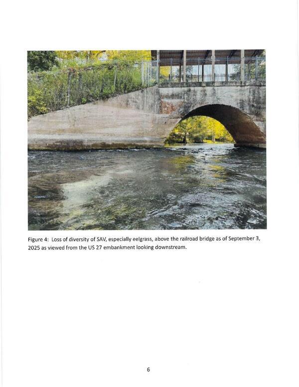 [Figure 4: Loss of diversity of SAV, especially eelgrass, above the railroad bridge as of September 3, 2025 as viewed from the US 27 embankment looking downstream.]