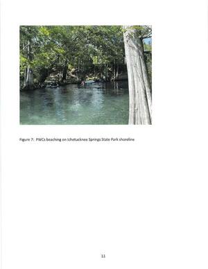 [Figure 7: PWCs beaching on Ichetucknee Springs State Park shoreline]