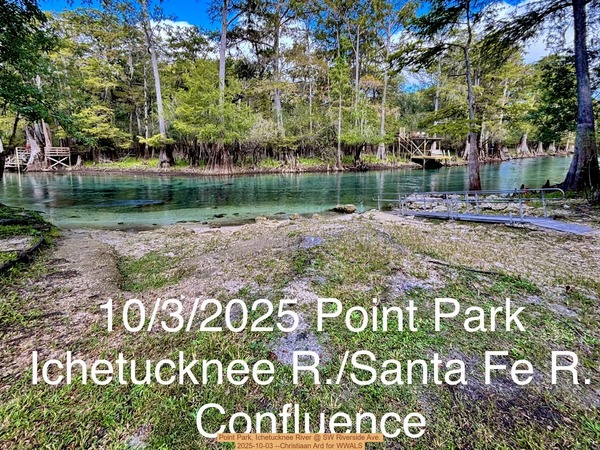 [Point Park, Ichetucknee River @ SW Riverside Ave. 2025-10-03 --Christiaan Ard for WWALS]