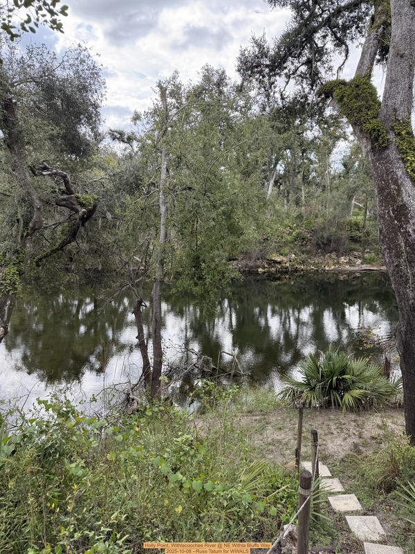 [Holly Point, Withlacoochee River @ NE Withla Bluffs Way 2025-10-08 --Russ Tatum for WWALS]