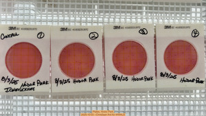 [Plates, Hodor Park 2025-10-03 --Christiaan Ard for WWALS]