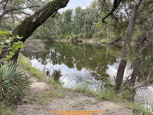 [Holly Point other, Withlacoochee River @ NE Withla Bluffs Way 2025-10-08 --Russ Tatum for WWALS]