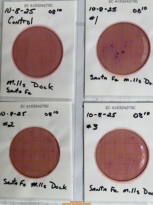 [Plates, Mills Dock 2025-10-08 --Kurt Hurzeler for WWALS]