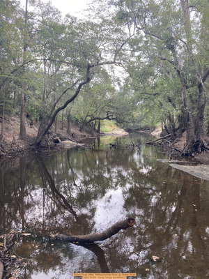 [Staten Road other, Withlacoochee River @ Staten Road 2025-10-09 --Cindy Vedas for WWALS]