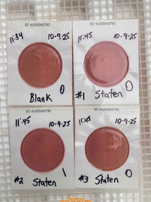 [Plates, Staten Road 2025-10-09 --Cindy Vedas for WWALS]