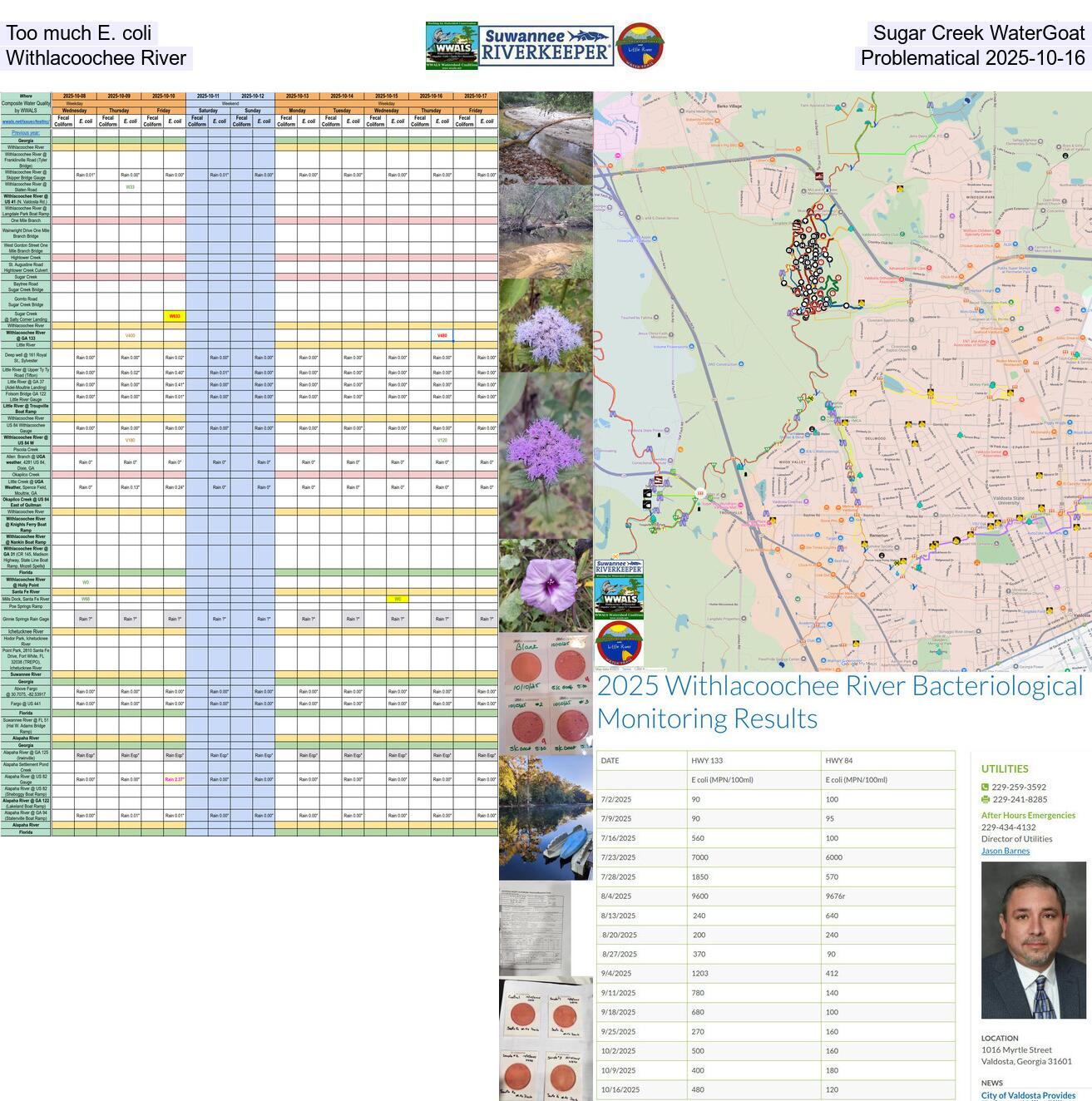 [Too much E. coli at Sugar Creek WaterGoat, Problematical Withlacoochee River, 2025-10-16]