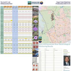 [Too much E. coli at Sugar Creek WaterGoat, Problematical Withlacoochee River, 2025-10-16]