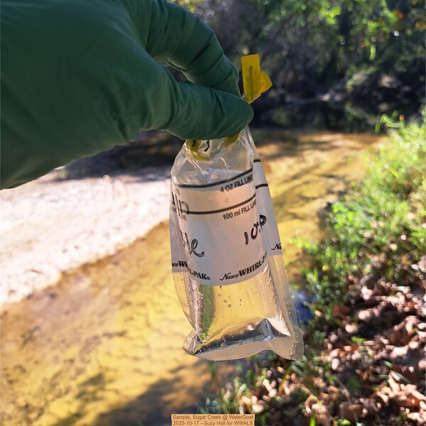 [Sample, Sugar Creek @ WaterGoat 2025-10-17 --Suzy Hall for WWALS]
