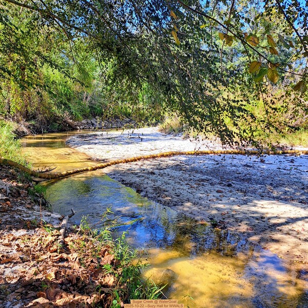 [Sugar Creek @ WaterGoat 2025-10-22 --Suzy Hall for WWALS]