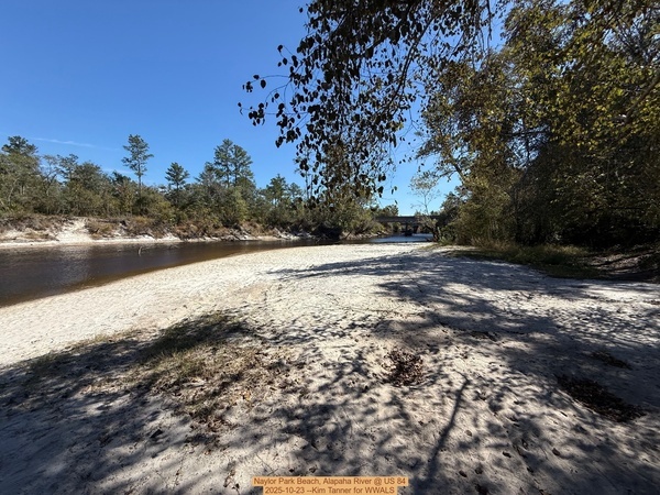 [Naylor Park Beach, Alapaha River @ US 84 2025-10-23 --Kim Tanner for WWALS]