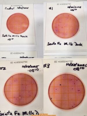 [Plates, Mills Dock 2025-10-22 --Bob Mills and Kurt Hurzeler for WWALS]