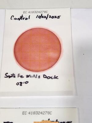 [Control, Mills Dock 2025-10-22 --Bob Mills and Kurt Hurzeler for WWALS]
