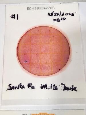 [Plate 1, Mills Dock 2025-10-22 --Bob Mills and Kurt Hurzeler for WWALS]