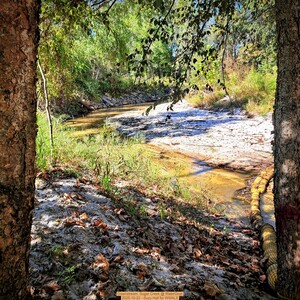 [Downstream, Sugar Creek @ WaterGoat 2025-10-22 --Suzy Hall for WWALS]