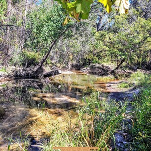 [Two Mile Branch Confluence, Sugar Creek @ WaterGoat 2025-10-22 --Suzy Hall for WWALS]