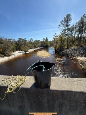 [Downstream, Lakeland Boat Ramp, Alapaha River @ GA 122 2025-10-23 --Kim Tanner for WWALS]