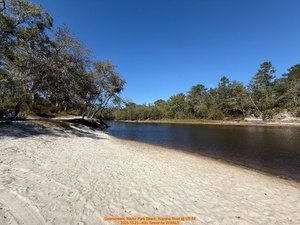 [Downstream, Naylor Park Beach, Alapaha River @ US 84 2025-10-23 --Kim Tanner for WWALS]