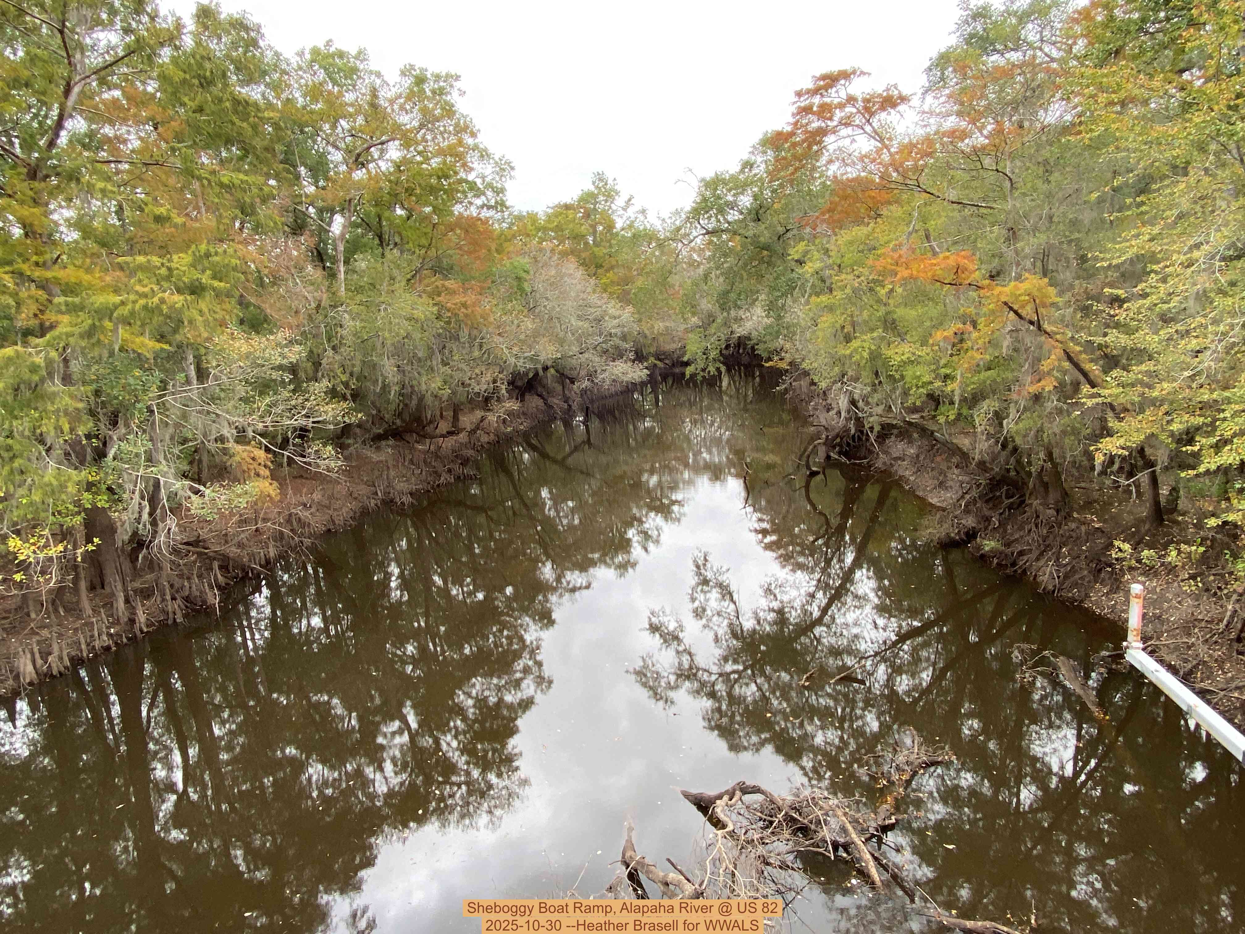 Sheboggy Boat Ramp, Alapaha River @ US 82 2025-10-30 --Heather Brasell for WWALS