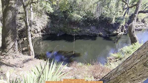 [Movie: Alapaha River Rise, 2025:11:01 13:20:07, 30.4389922, -83.0897158 (10M) --jsq for WWALS]