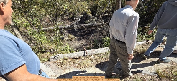 [Aroyo east of Alapaha River Rise, 2025:11:01 13:27:47, 30.4382297, -83.0888168 --jsq for WWALS]